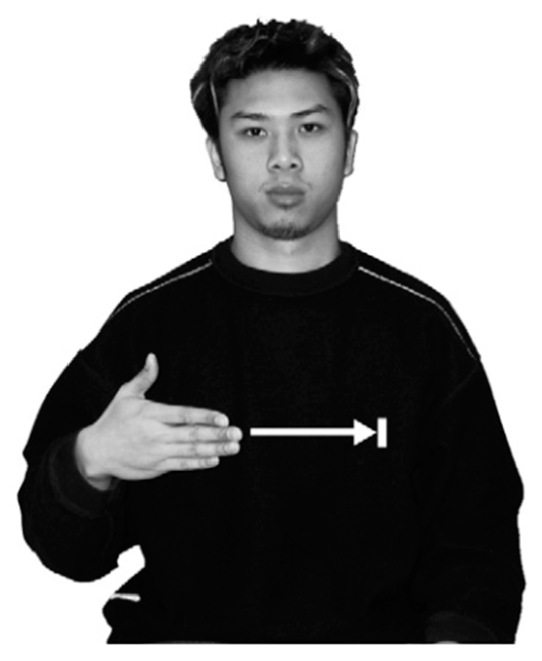 Languages 07 00098 g002