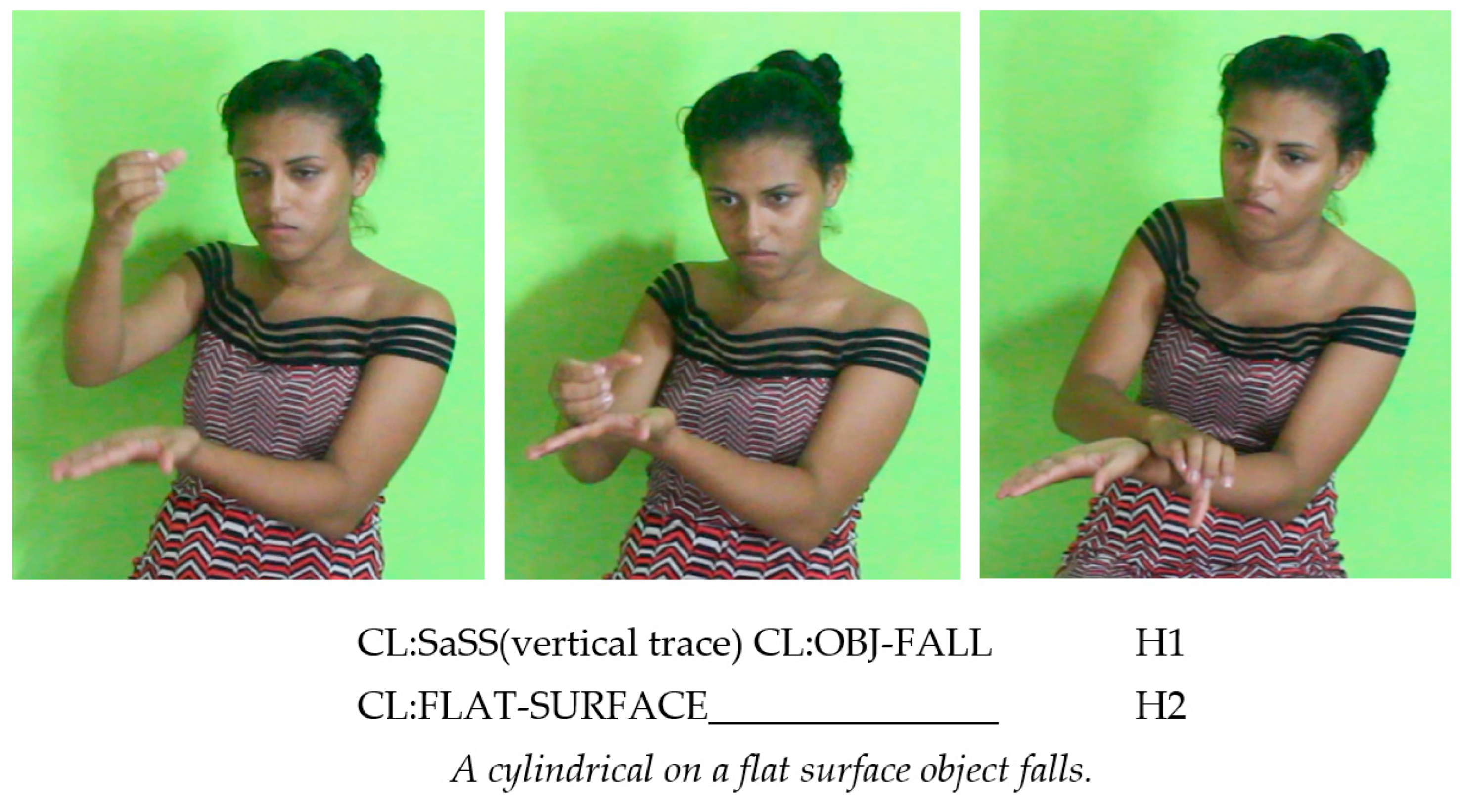 Languages 07 00098 g013