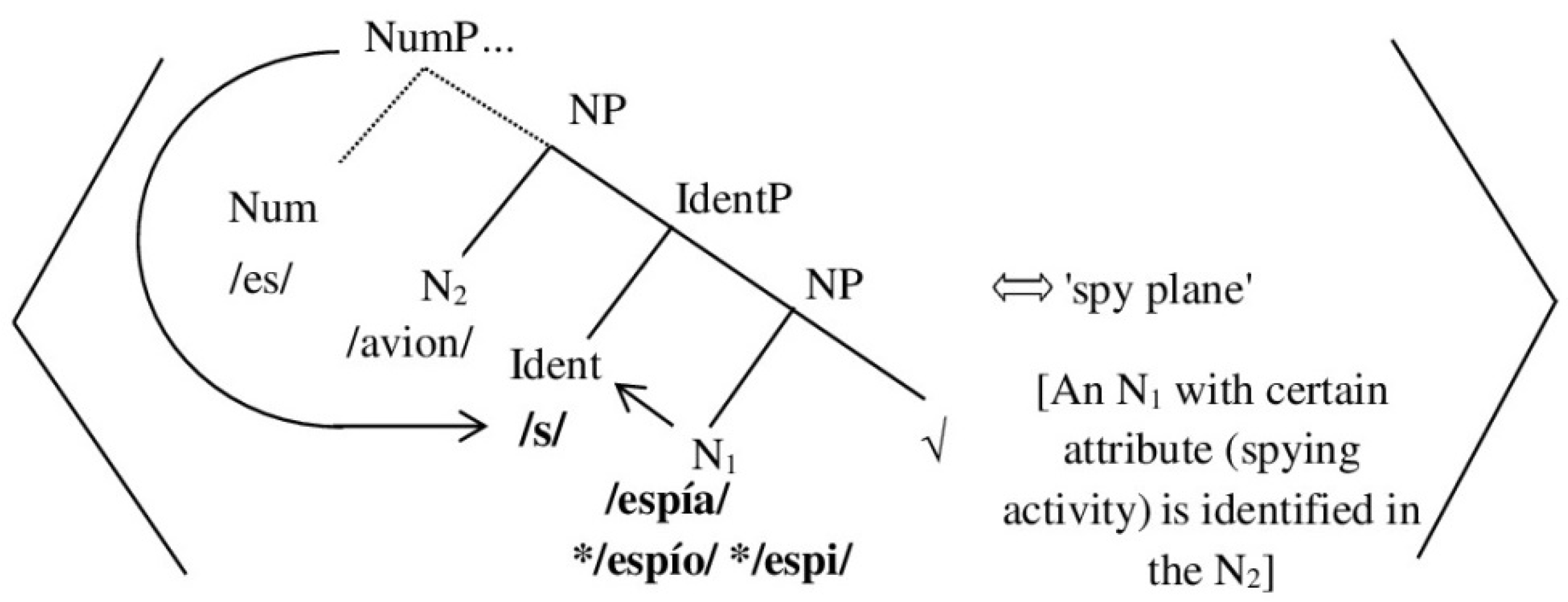 Languages 07 00105 g003 550