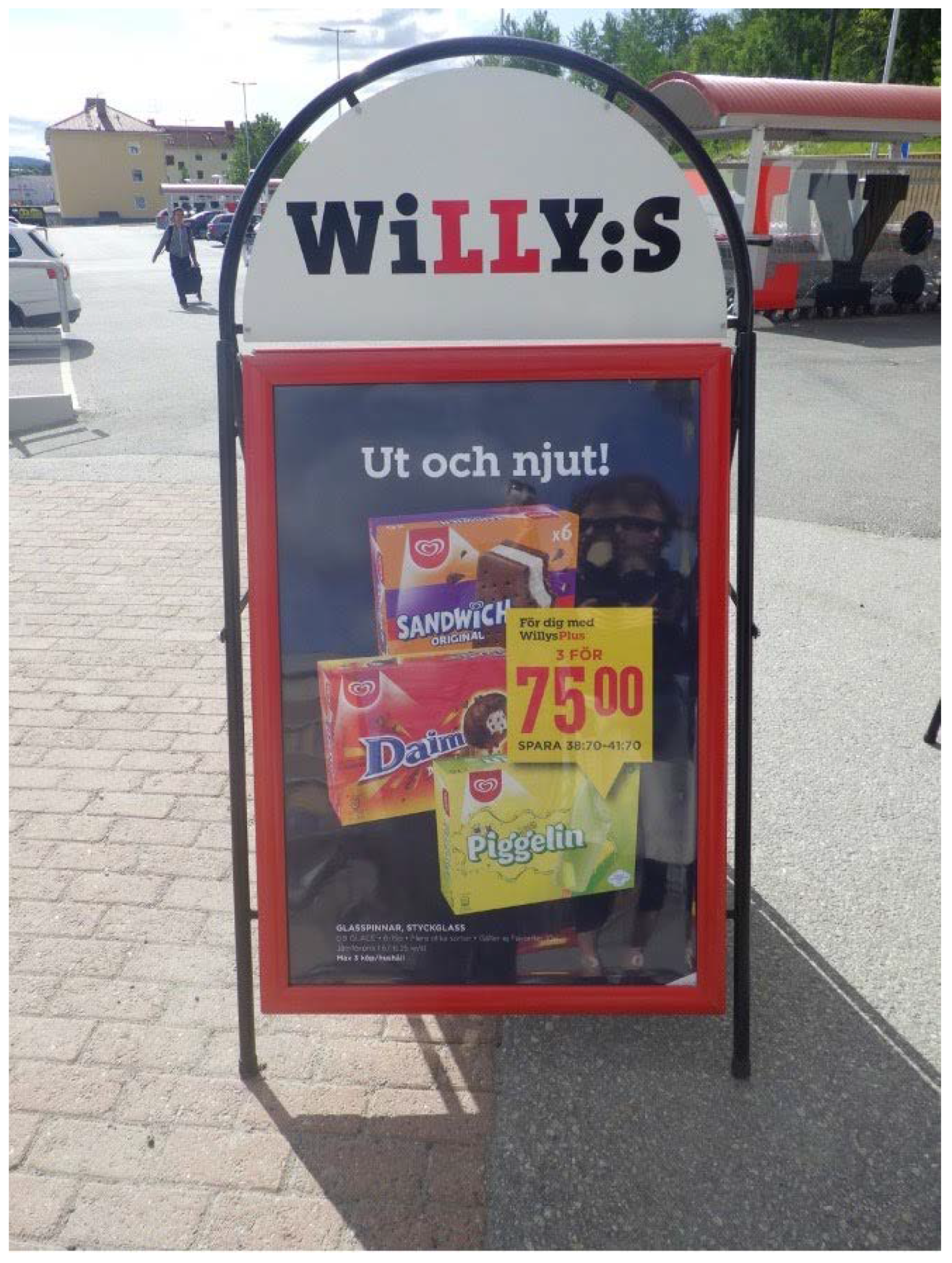 Languages 07 00124 g001