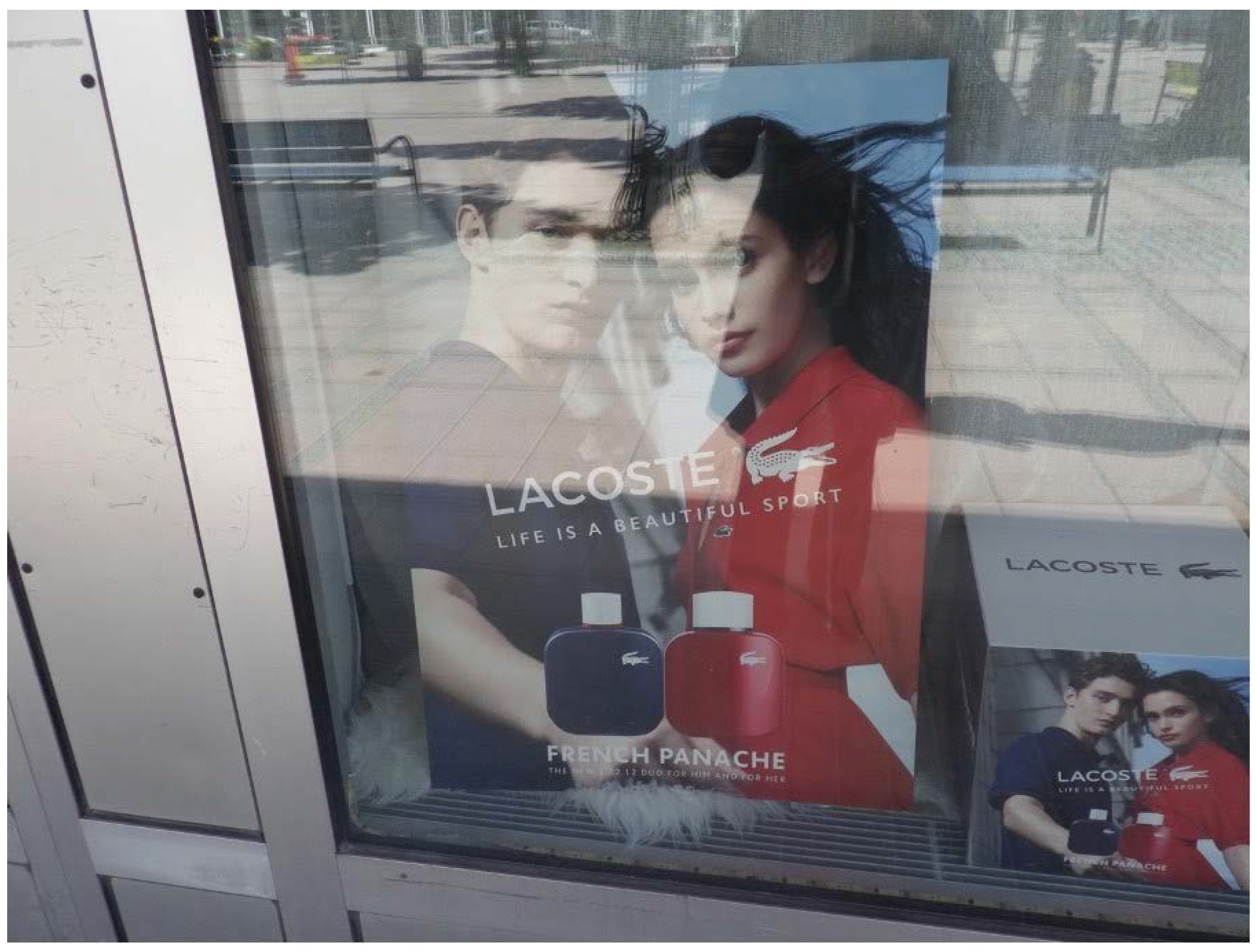 Languages 07 00124 g003