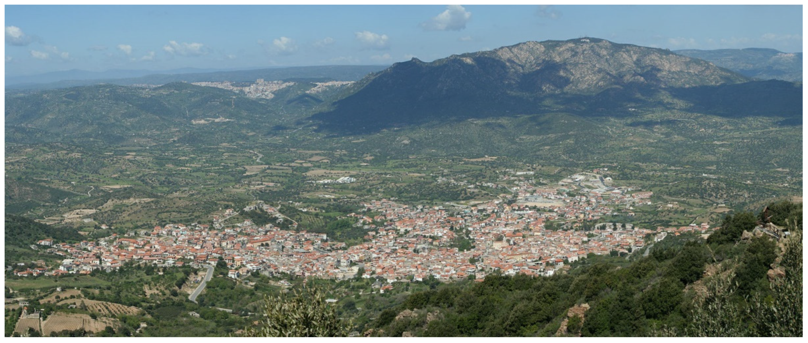 Languages 07 00131 g011