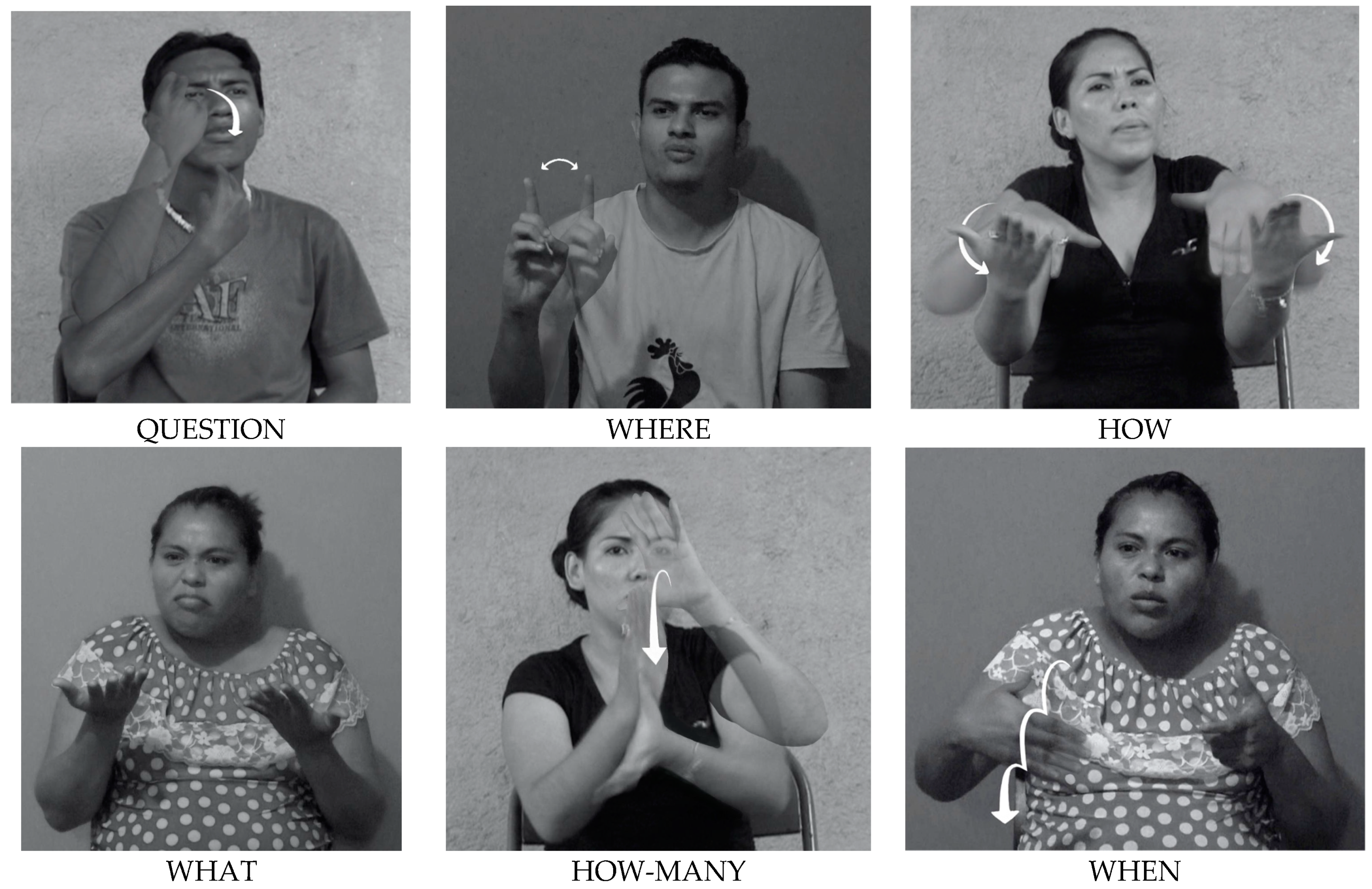 Languages 07 00137 g001