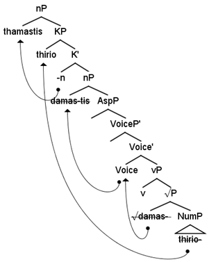 Languages 07 00151 i008