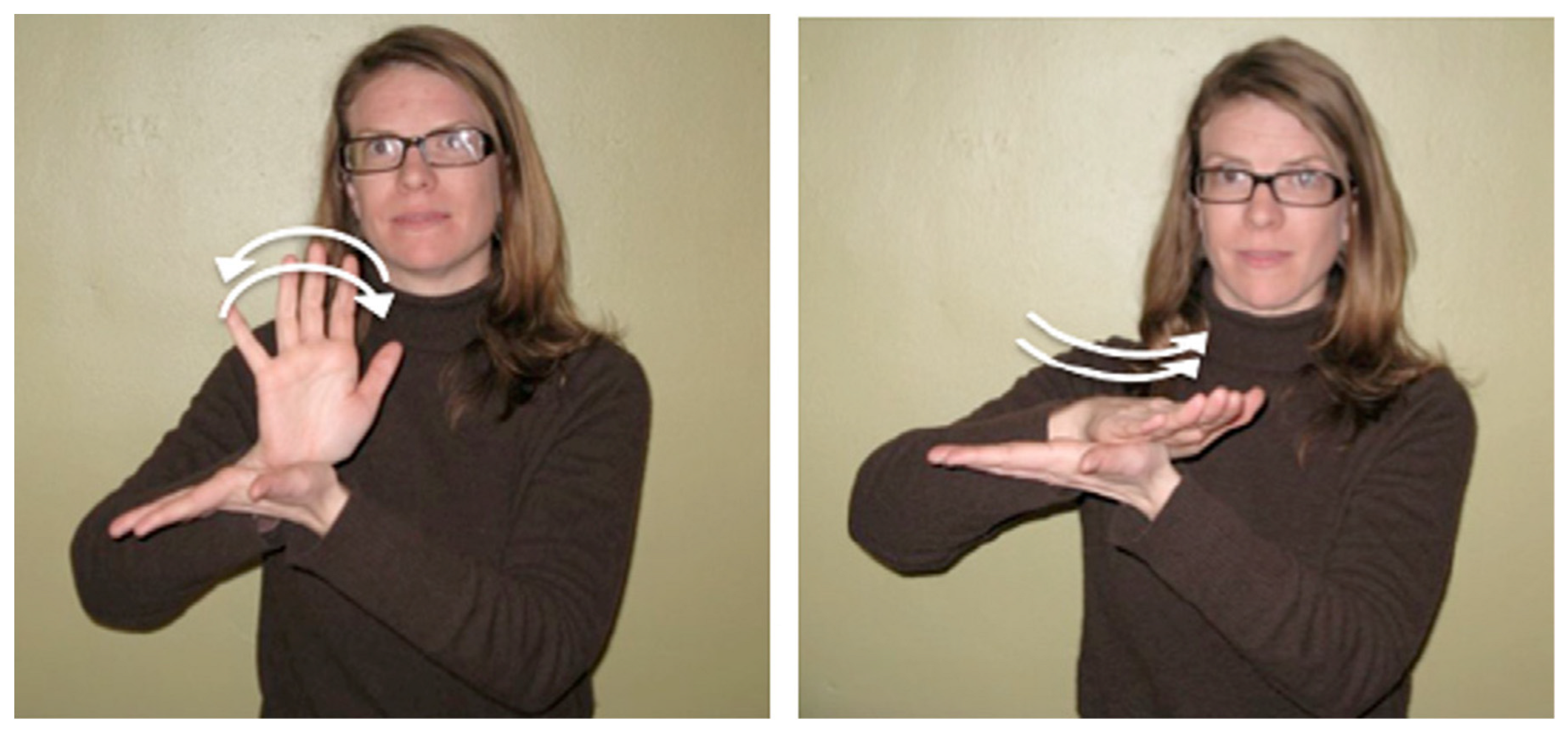 Languages 07 00214 g001 550