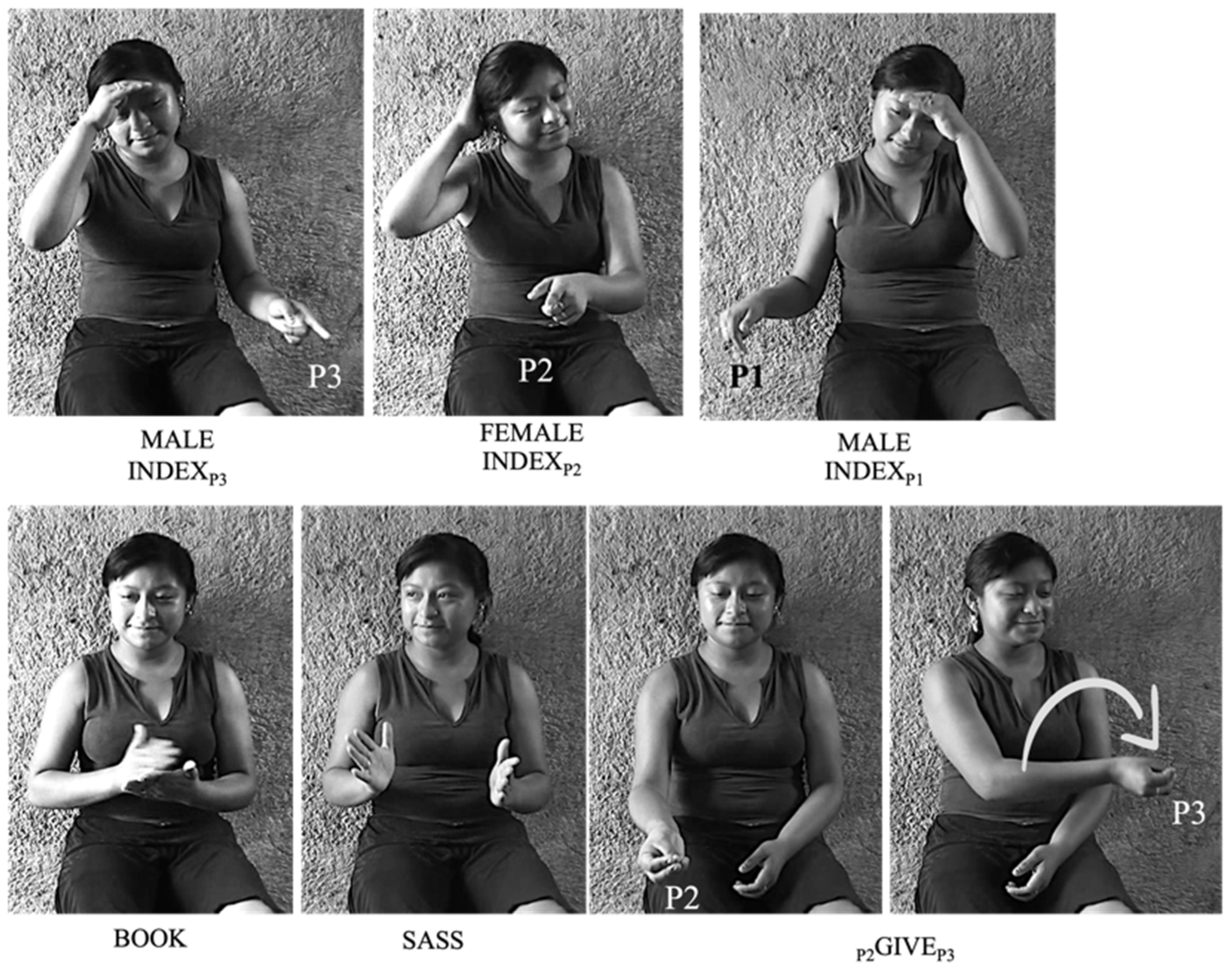 Languages 07 00233 g007