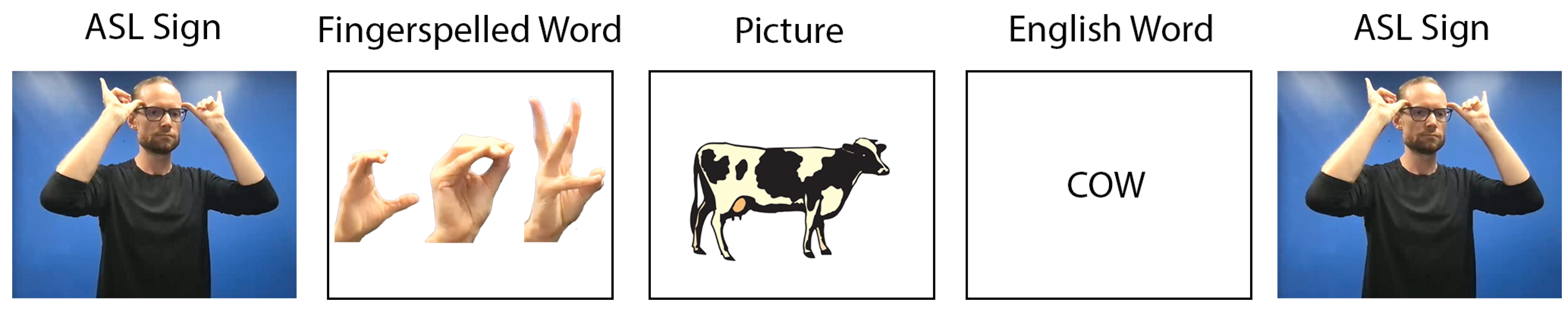 Languages 07 00278 g003 Languages 07 00278 g003