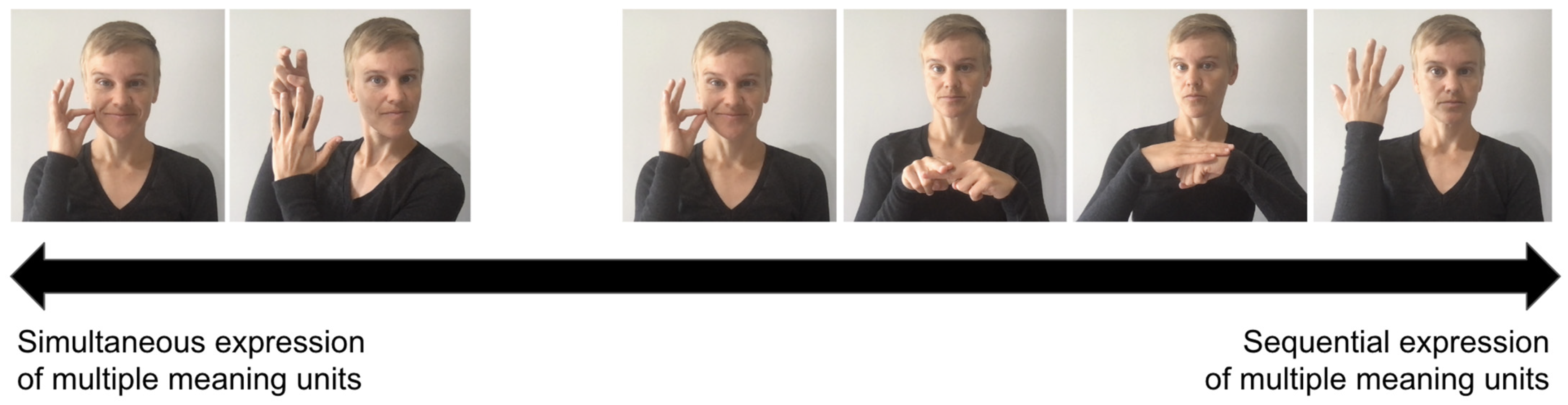 Languages 08 00059 g001 Languages 08 00059 g001