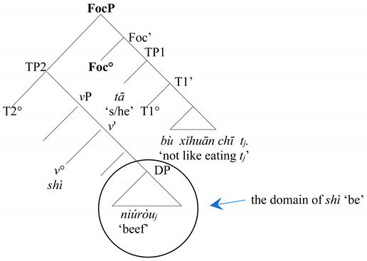 Languages 08 00103 i001