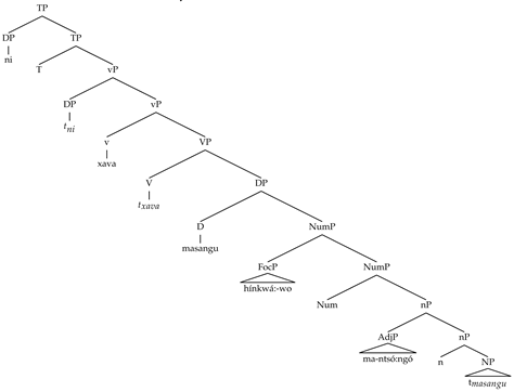 Languages 08 00150 i006