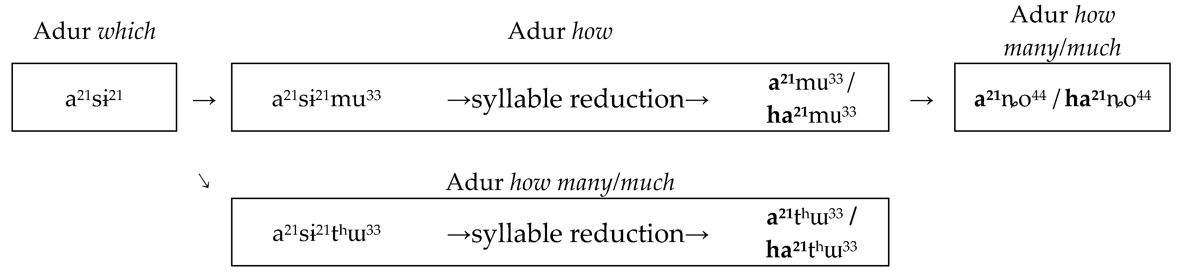 Languages 08 00164 g007