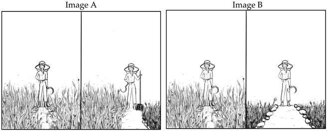 Languages 08 00201 i020 Languages 08 00201 i020