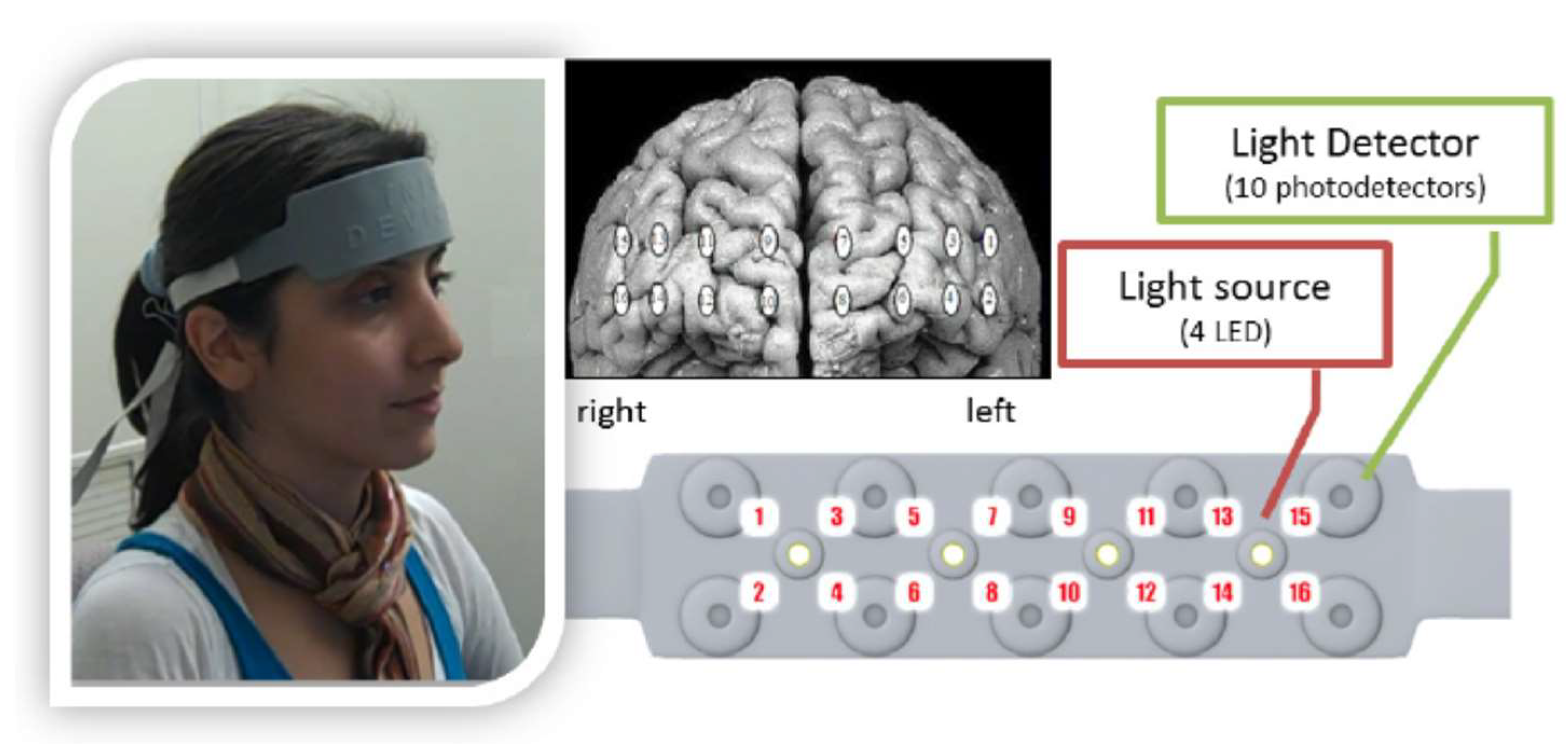 Languages 08 00216 g001