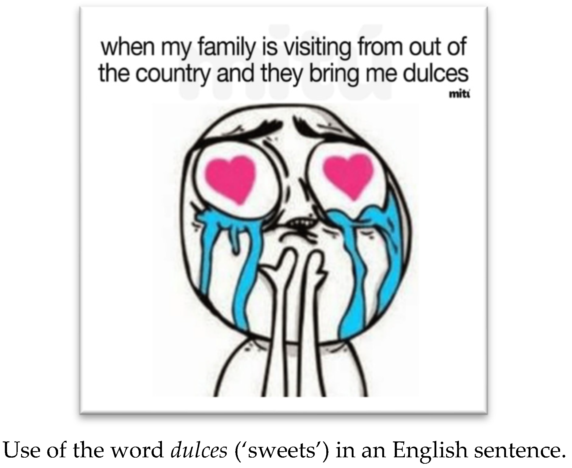 Languages 08 00231 g007