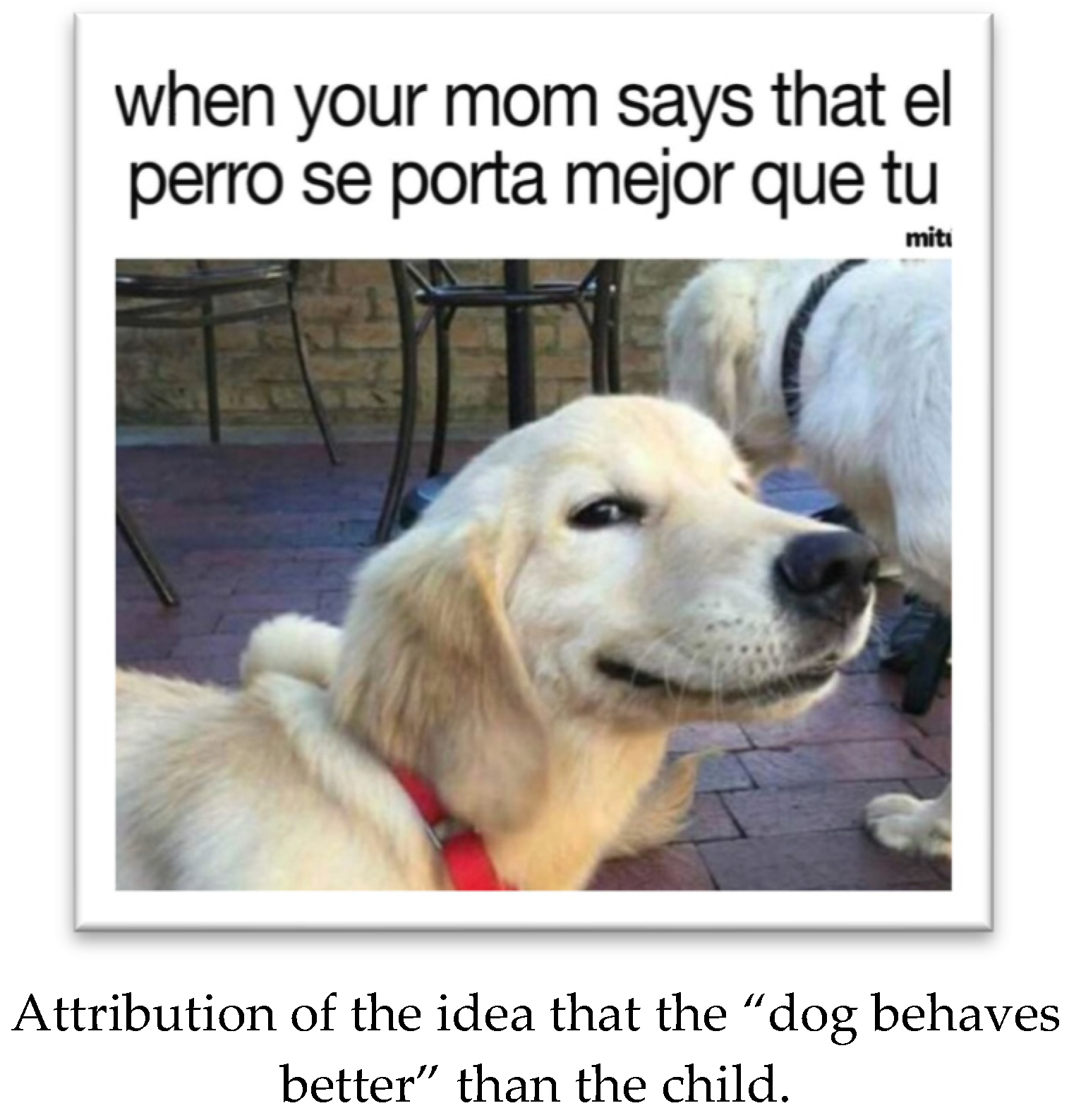 Languages 08 00231 g009