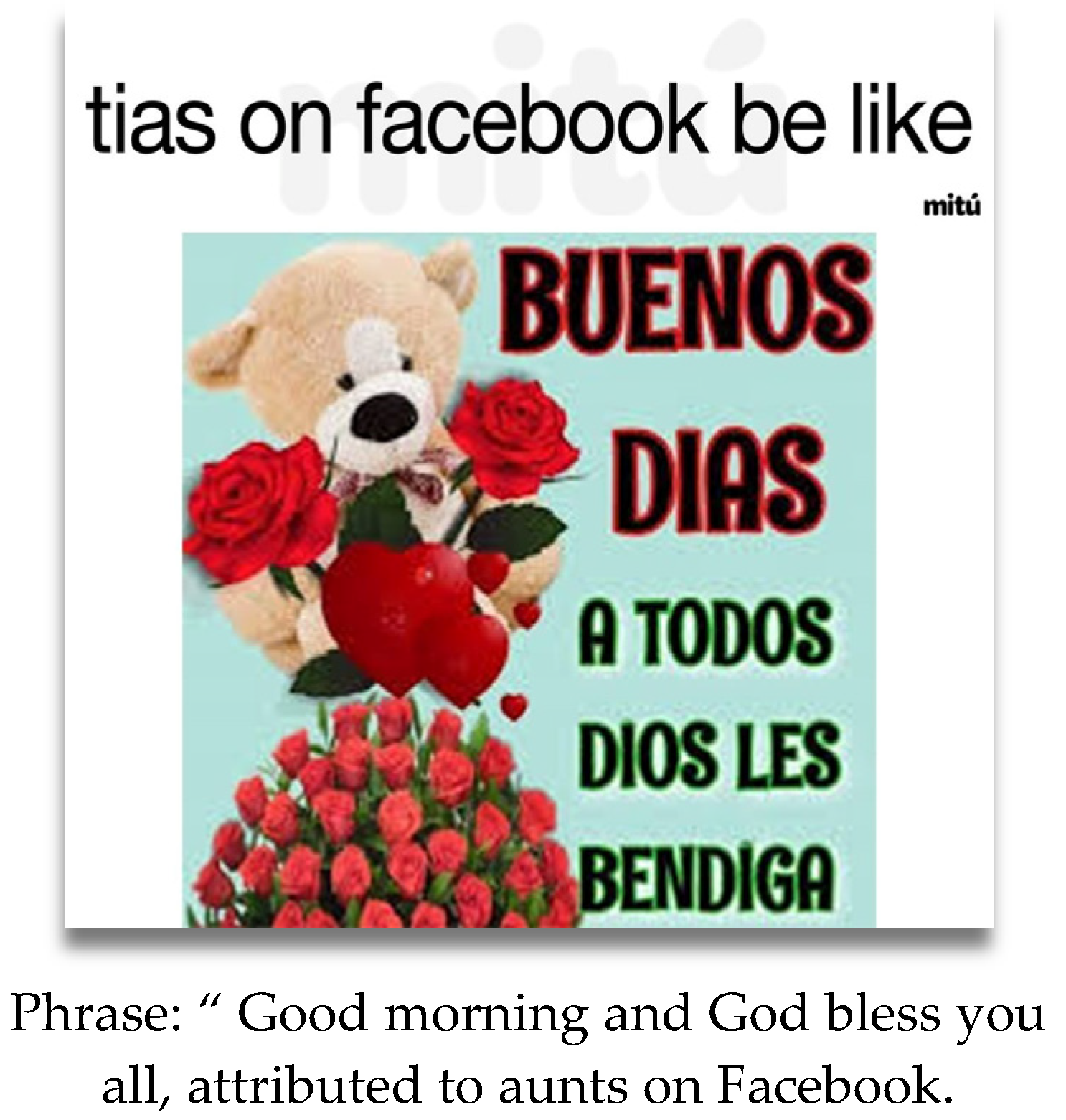 Languages 08 00231 g010