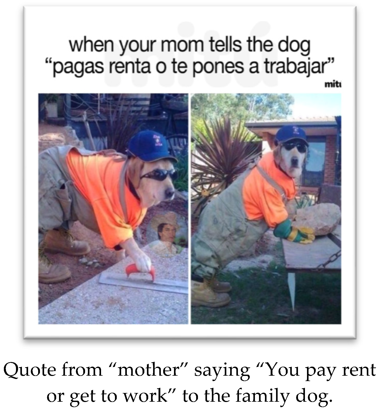 Languages 08 00231 g011