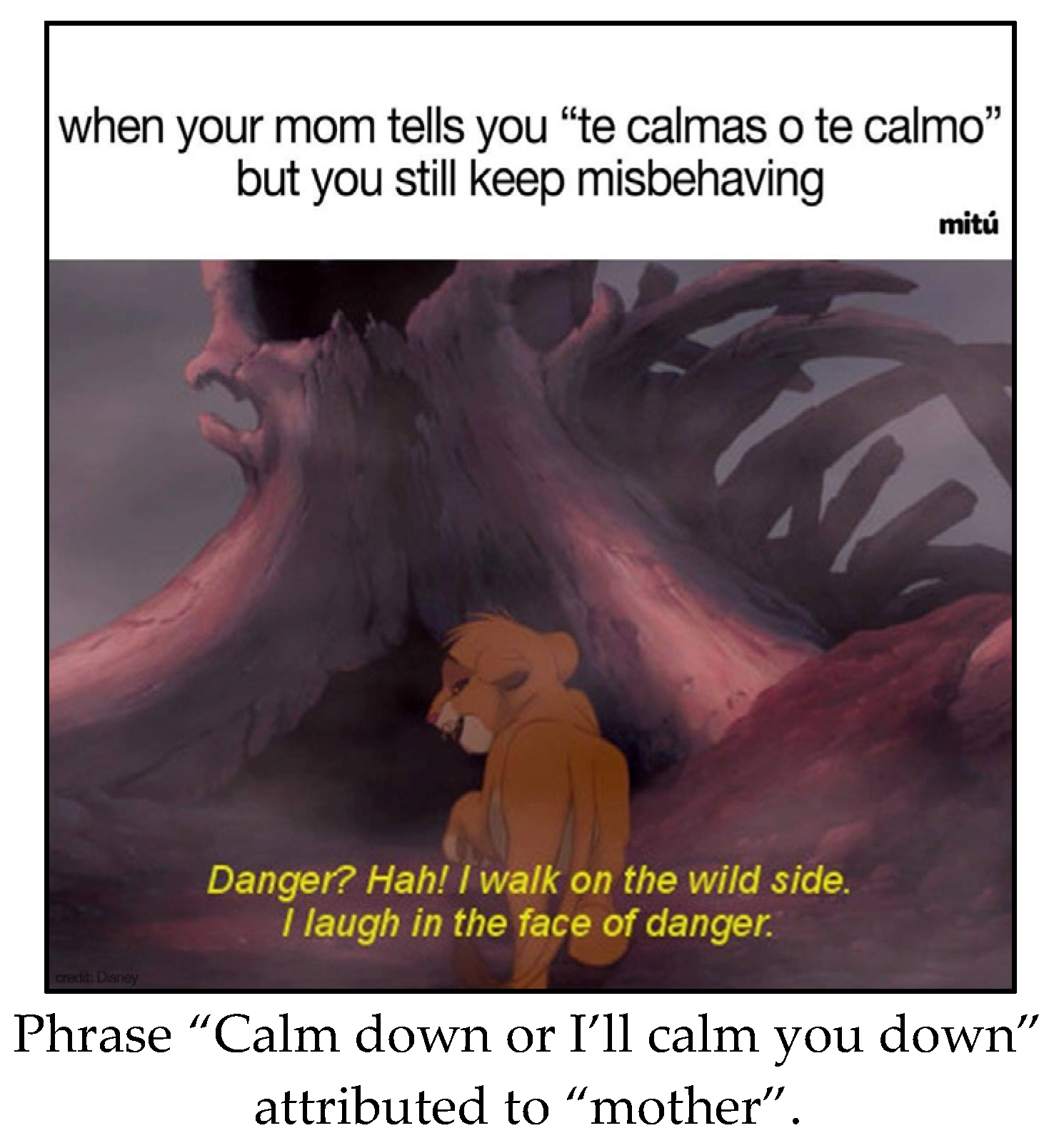 Languages 08 00231 g020