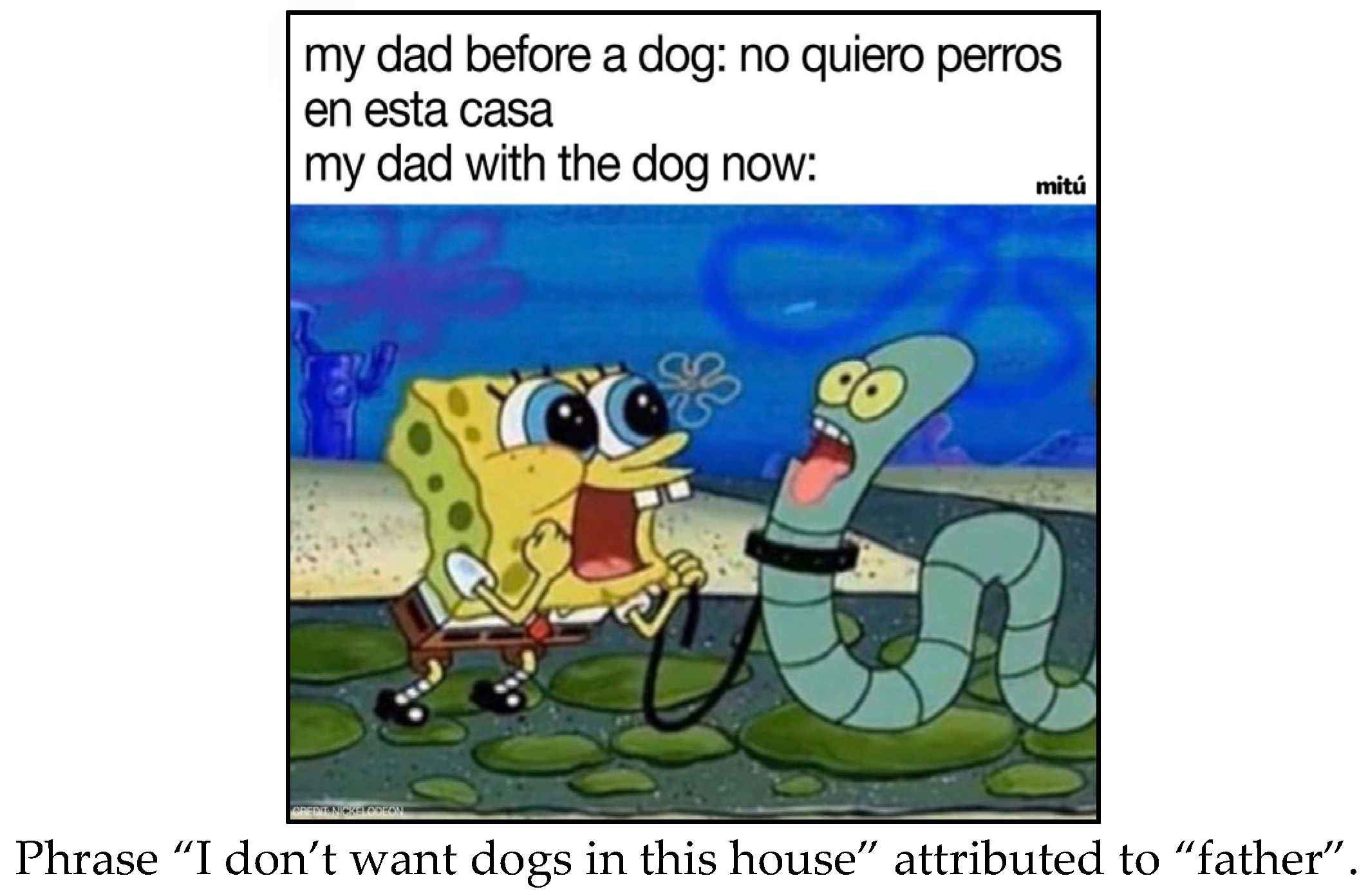 Languages 08 00231 g025