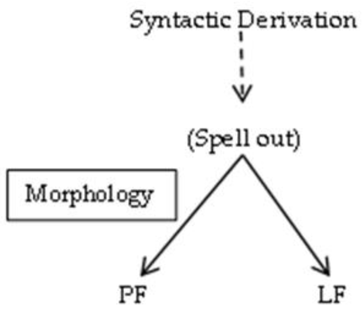 Languages 08 00233 g001