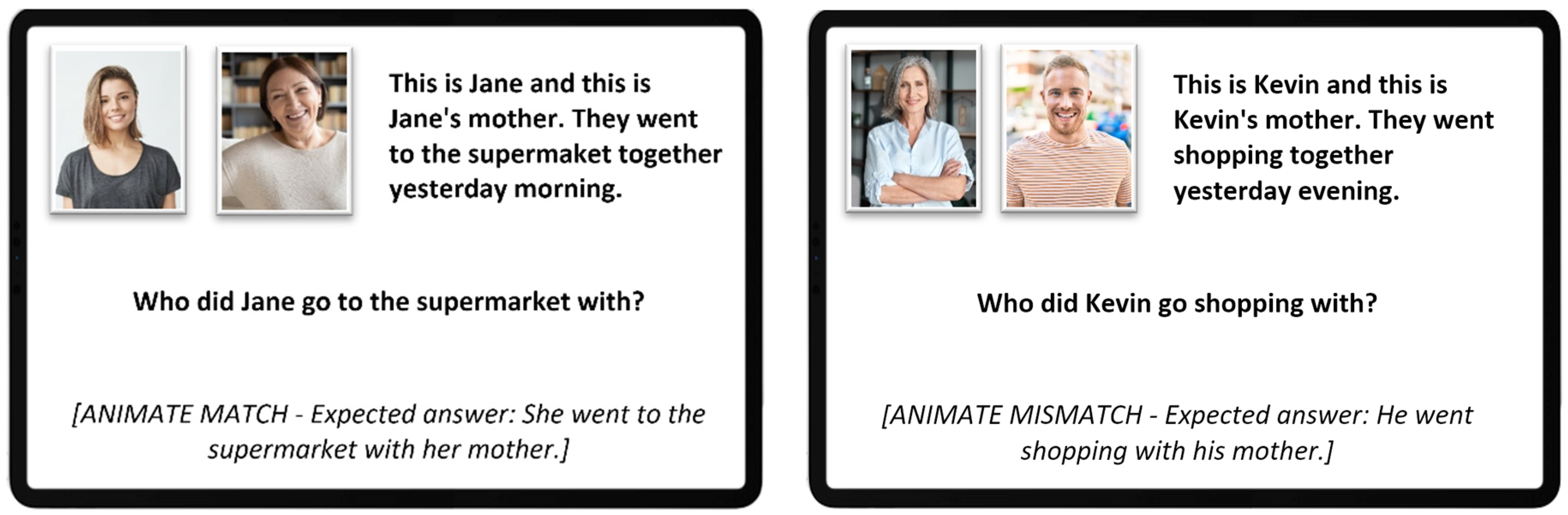 Languages 08 00278 g001