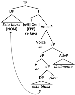 Languages 09 00015 i005