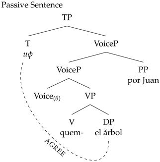 Languages 09 00024 i008