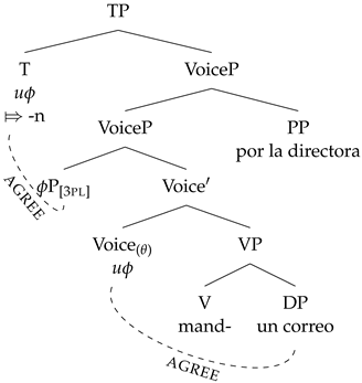 Languages 09 00024 i030