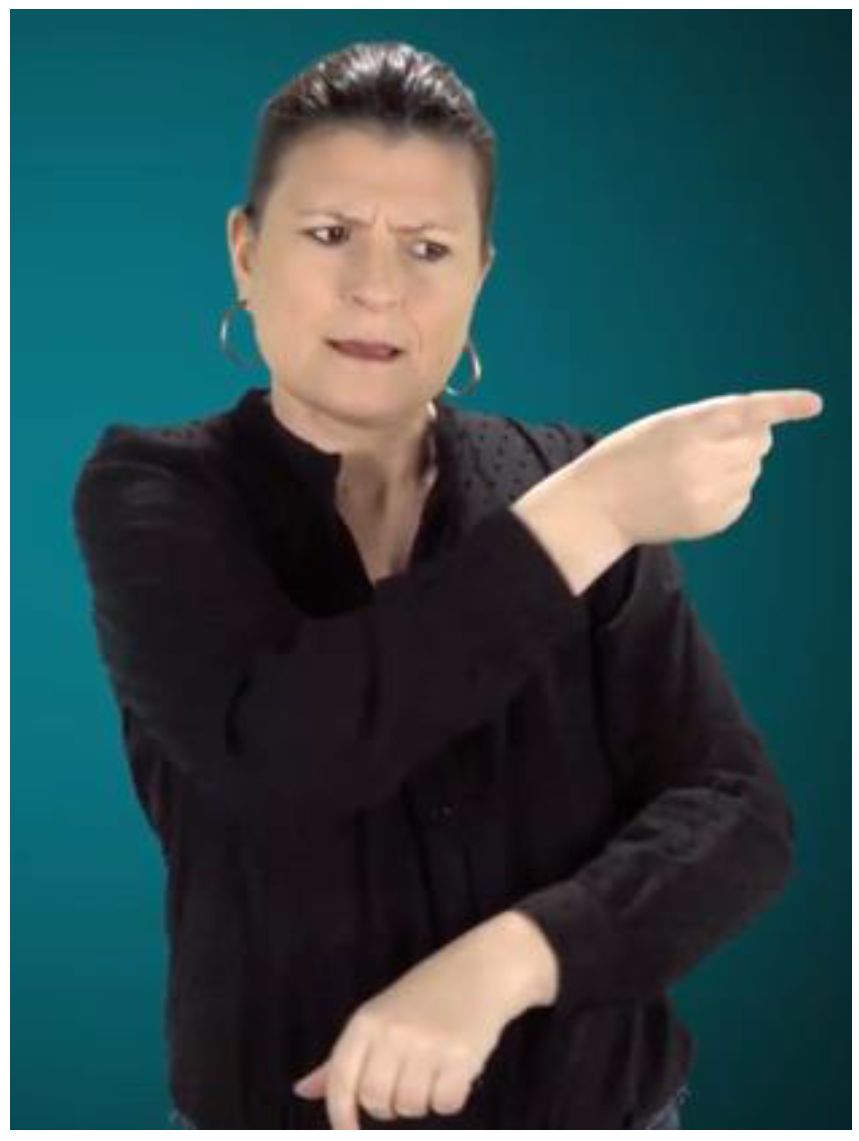 Languages 09 00069 g004