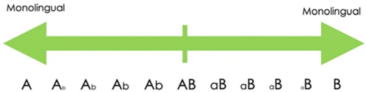 Languages 09 00108 g001