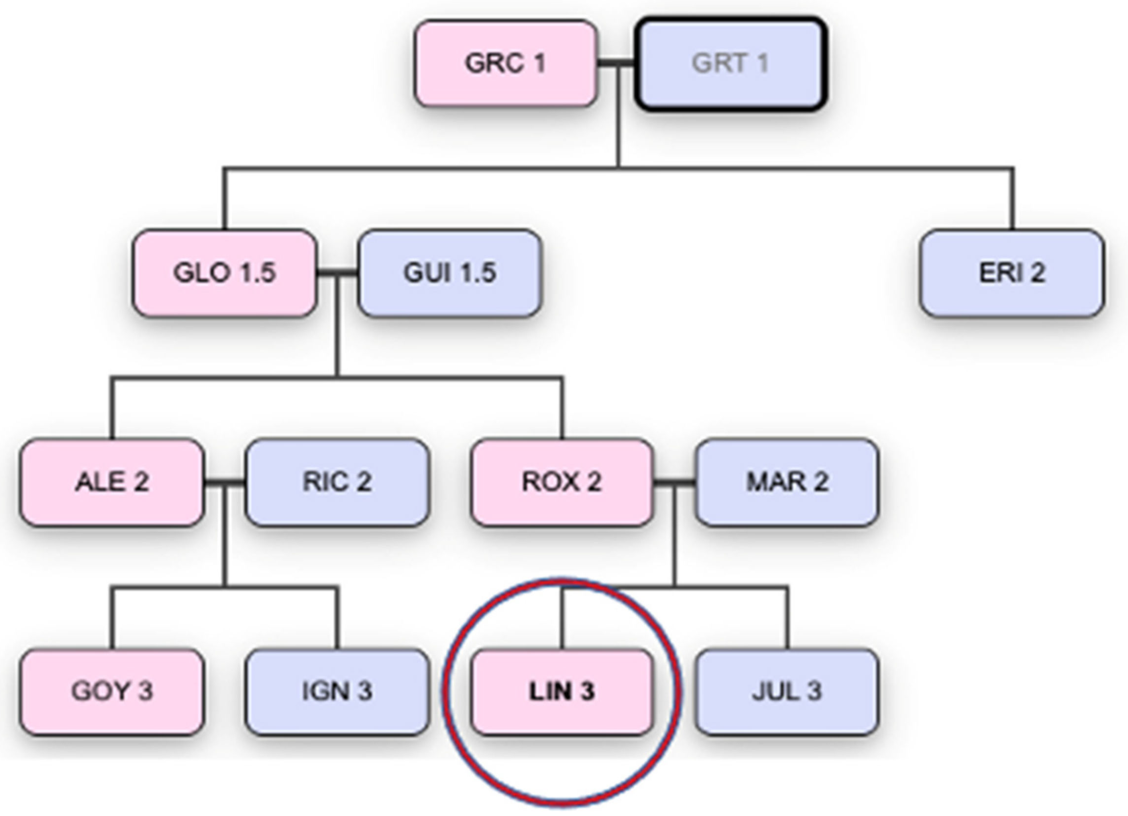 Languages 09 00108 g002