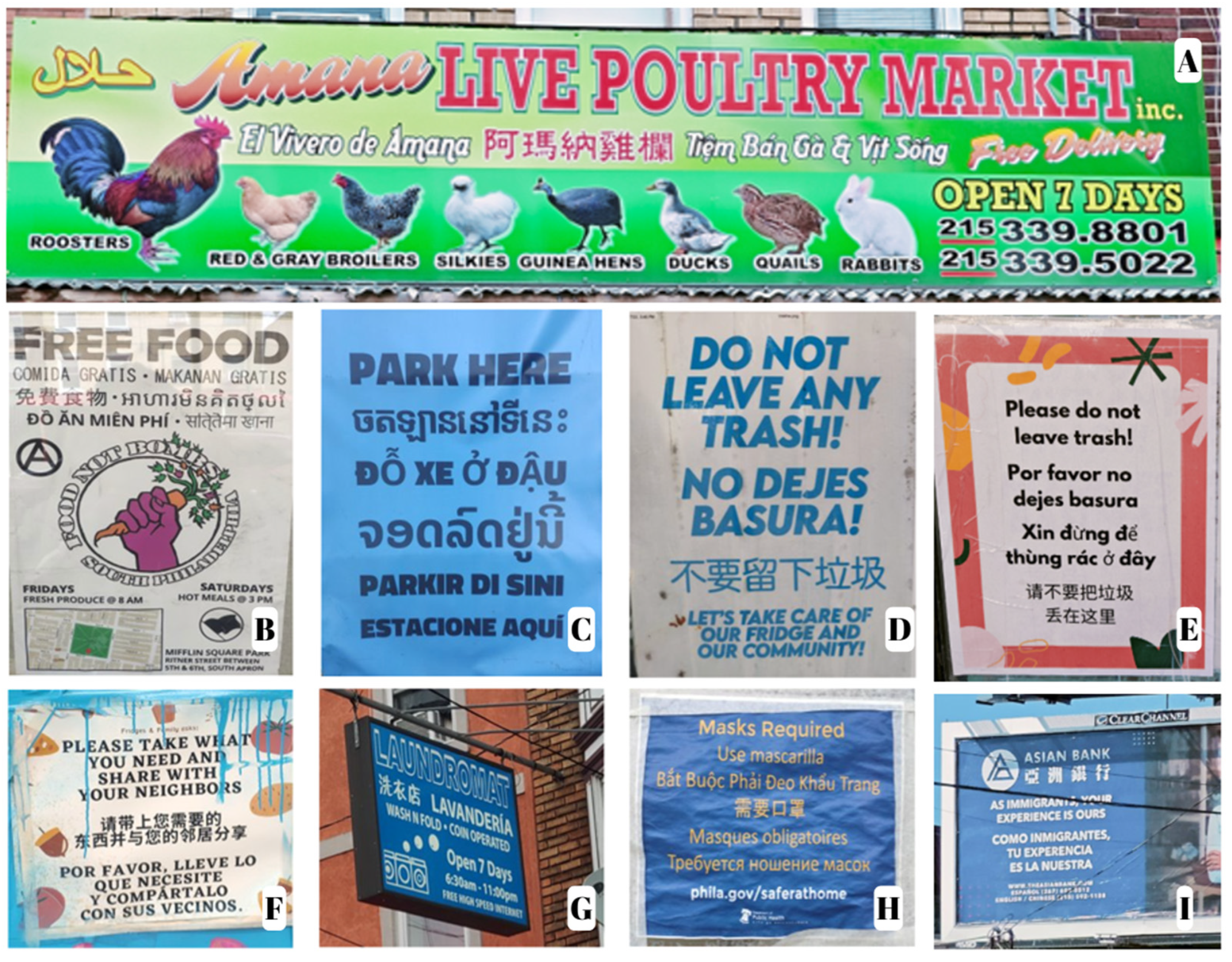 Languages 09 00123 g008