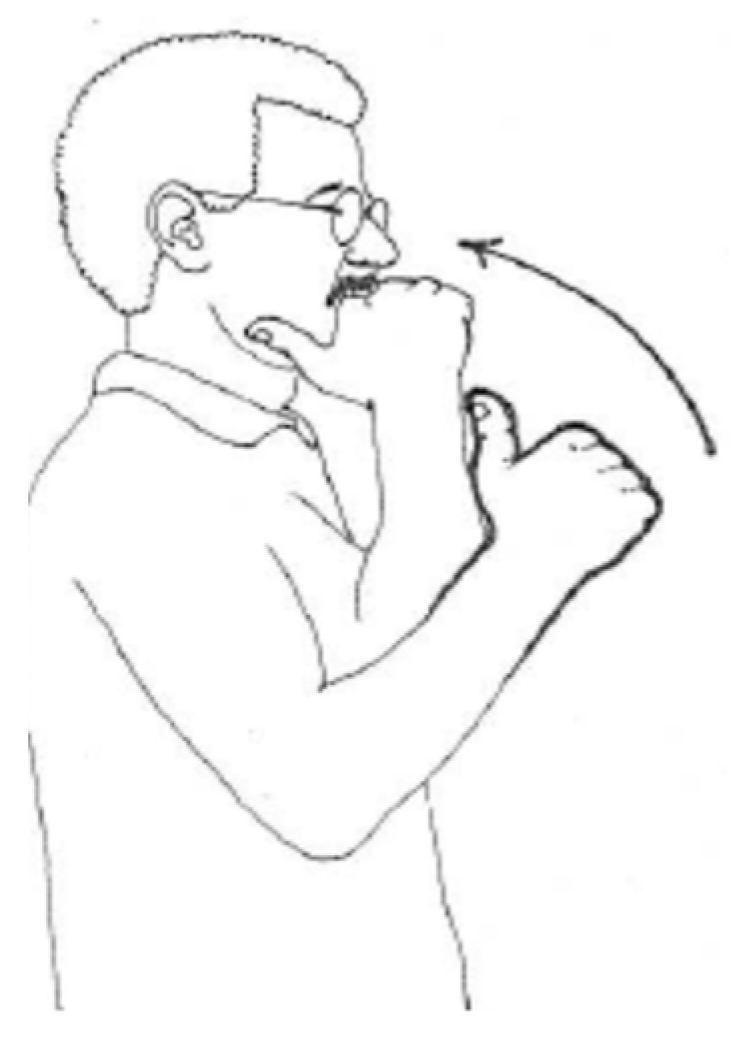 Languages 09 00164 g009 Languages 09 00164 g009