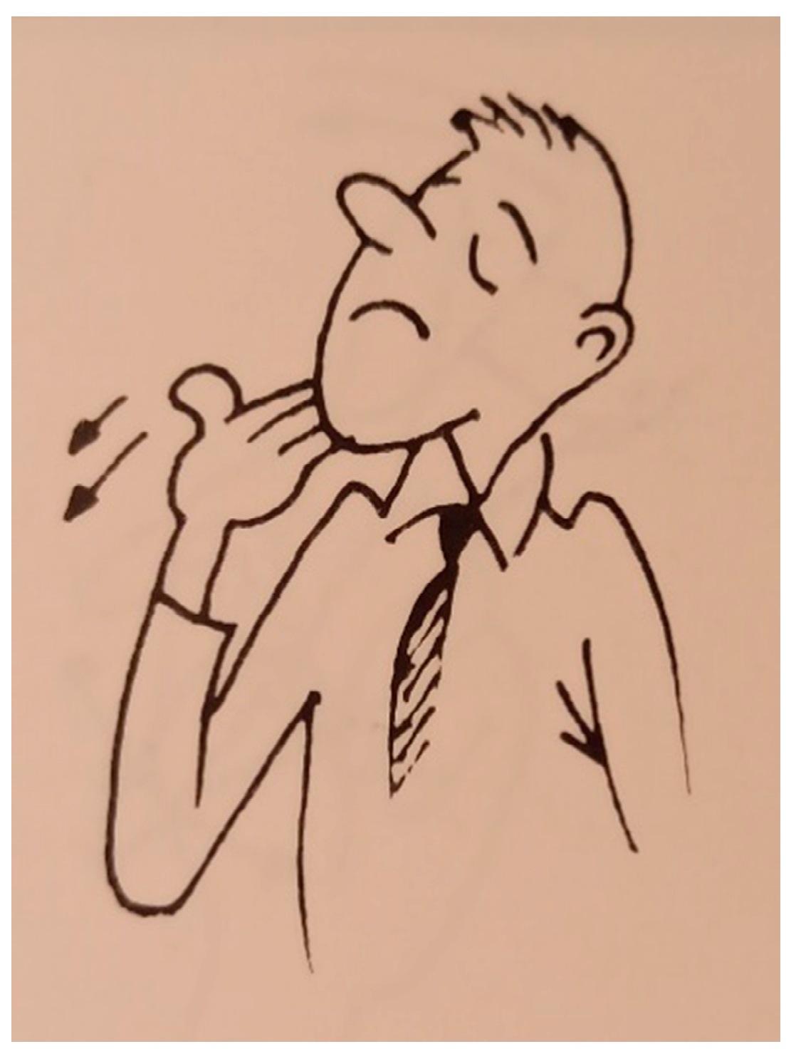 Languages 09 00164 g019 Languages 09 00164 g019