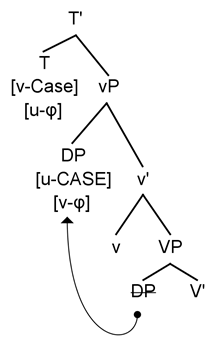 Languages 09 00185 i007