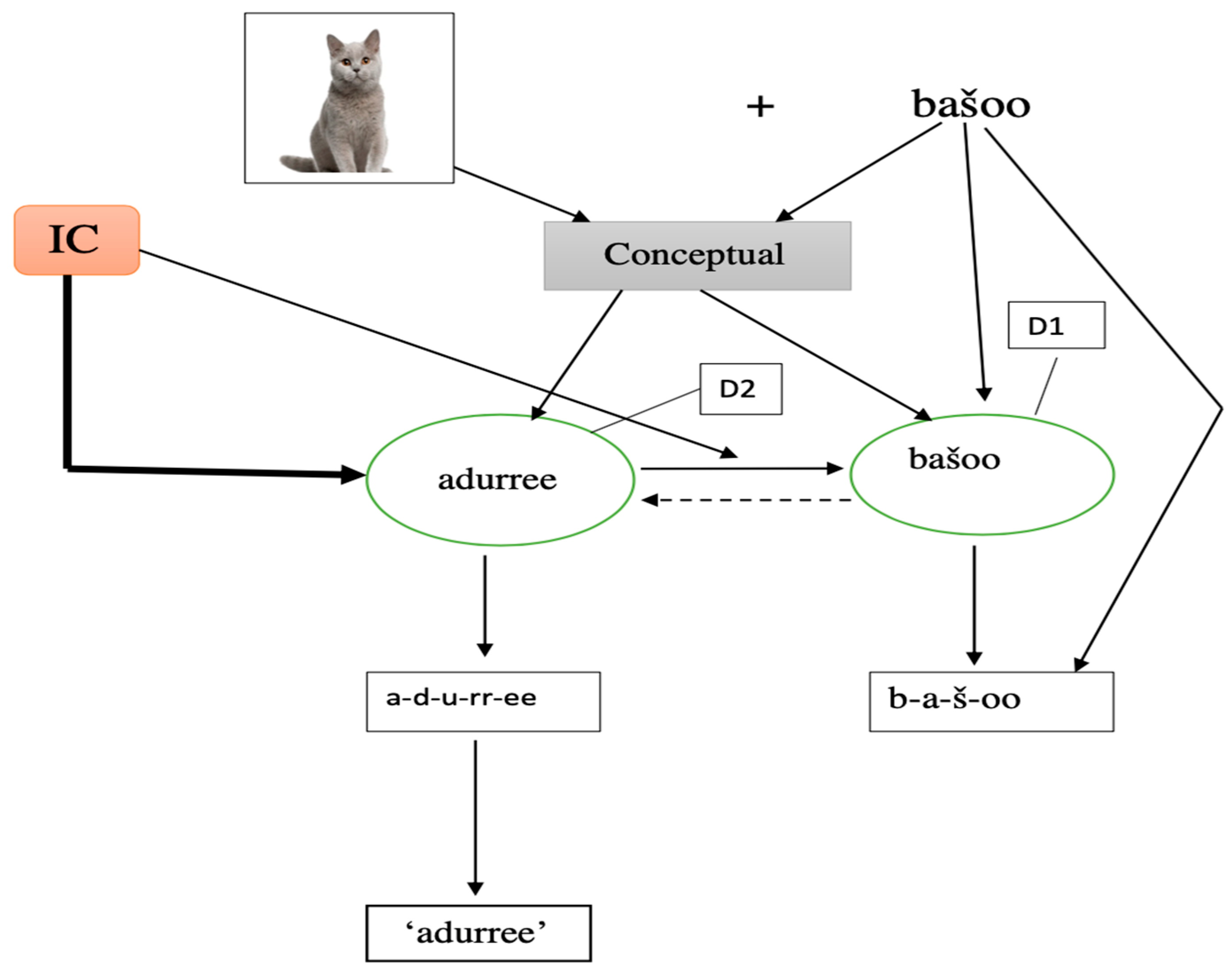 Languages 09 00186 g004 Languages 09 00186 g004