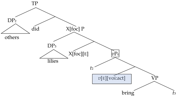 On the Directionality of Conversion: A New Perspective from