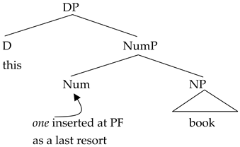 Languages 09 00206 i009