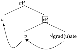 Languages 09 00206 i013