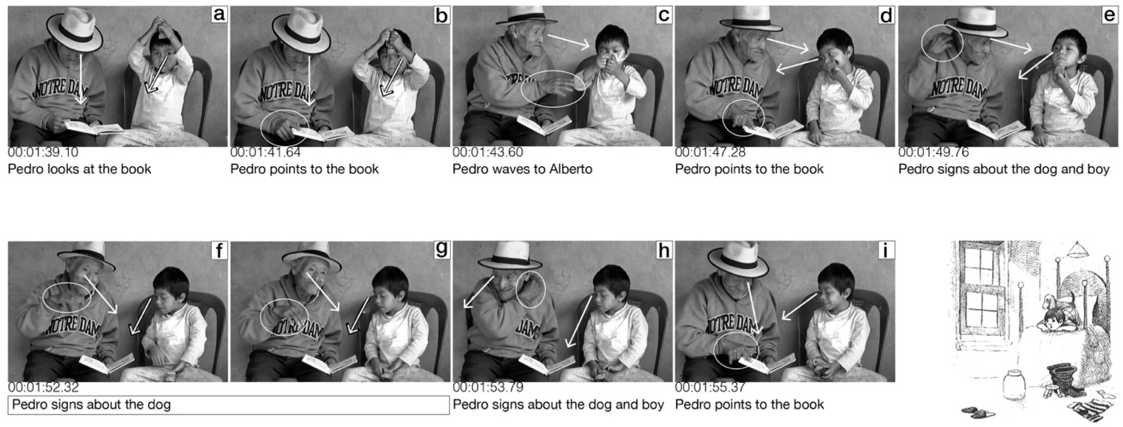 Languages 09 00223 g001