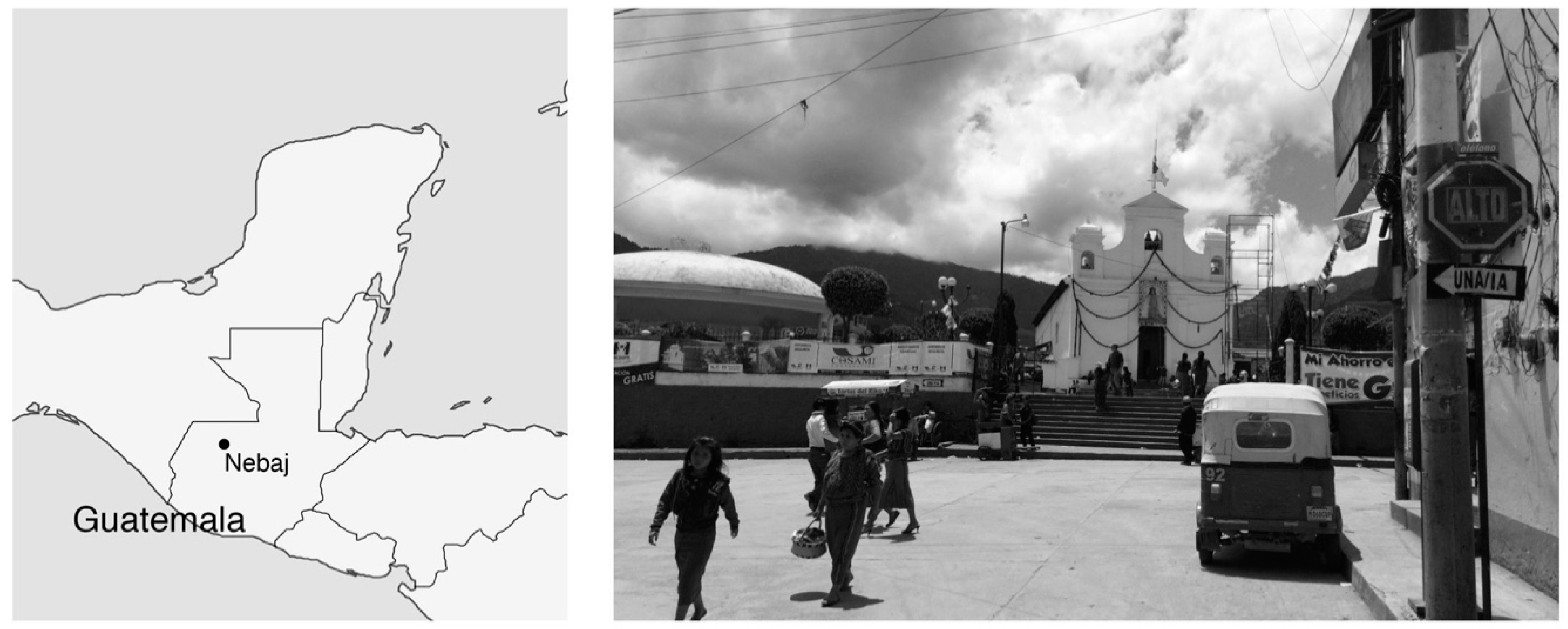 Languages 09 00223 g002