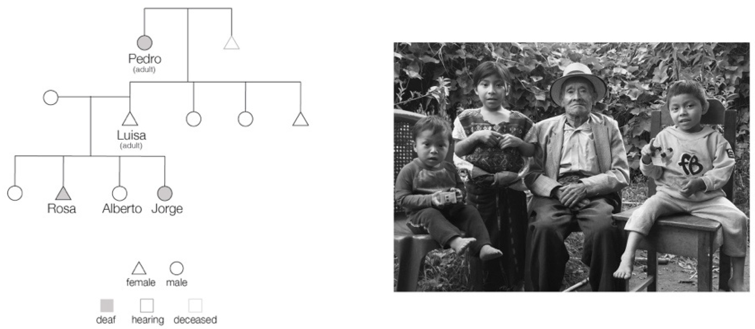 Languages 09 00223 g003