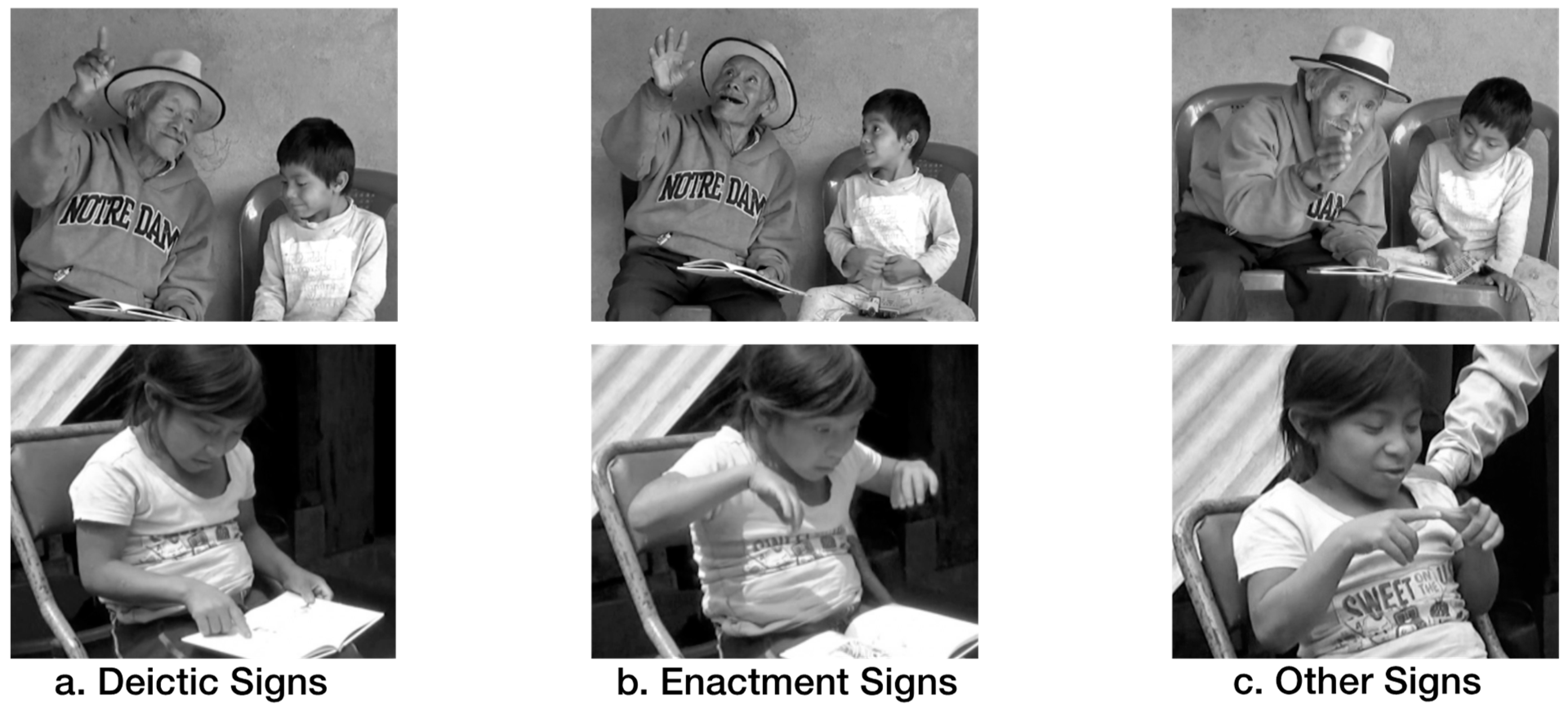 Languages 09 00223 g004