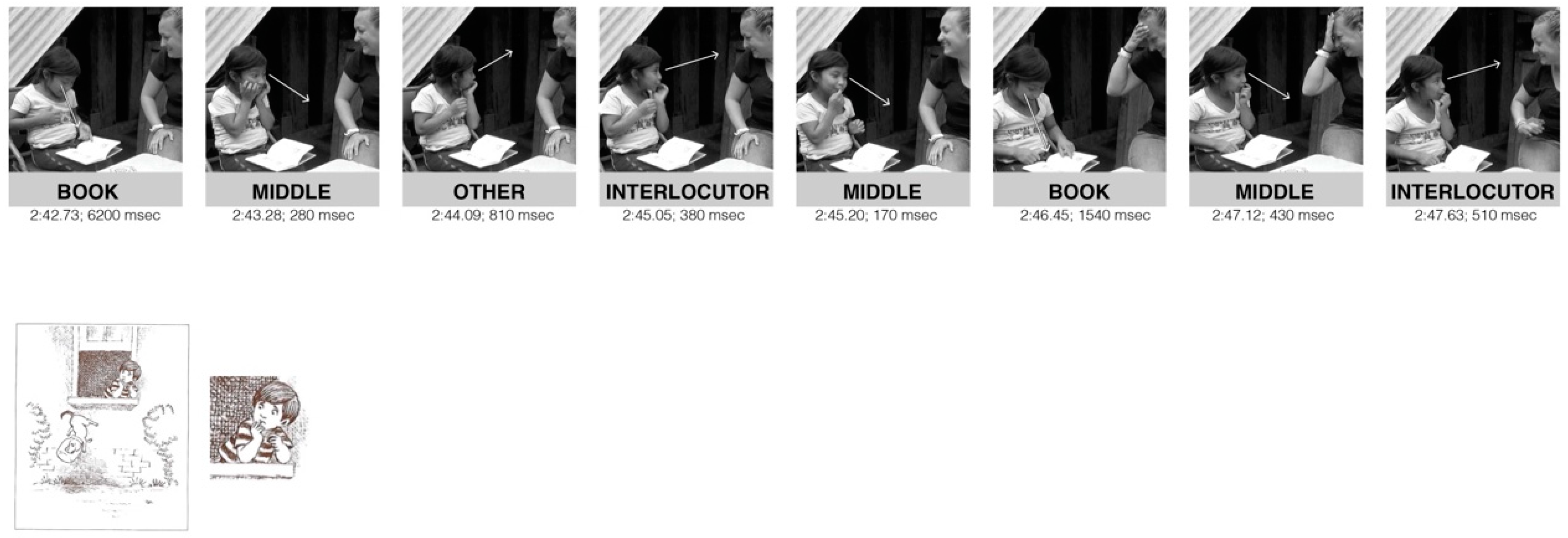 Languages 09 00223 g005