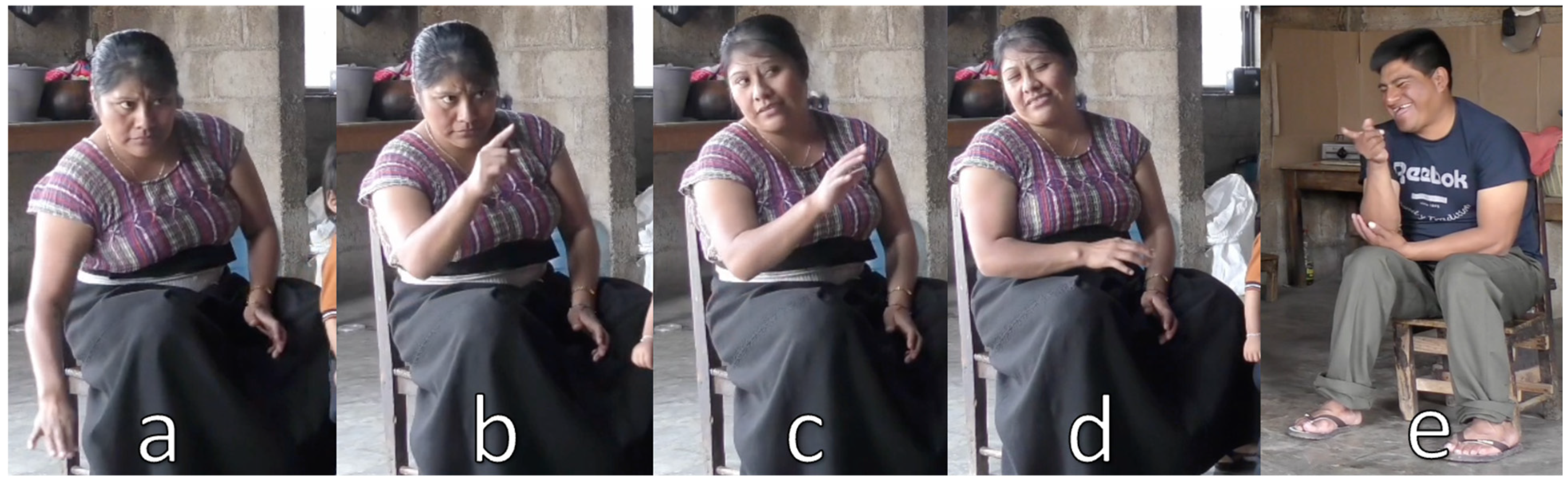 Languages 09 00240 g023