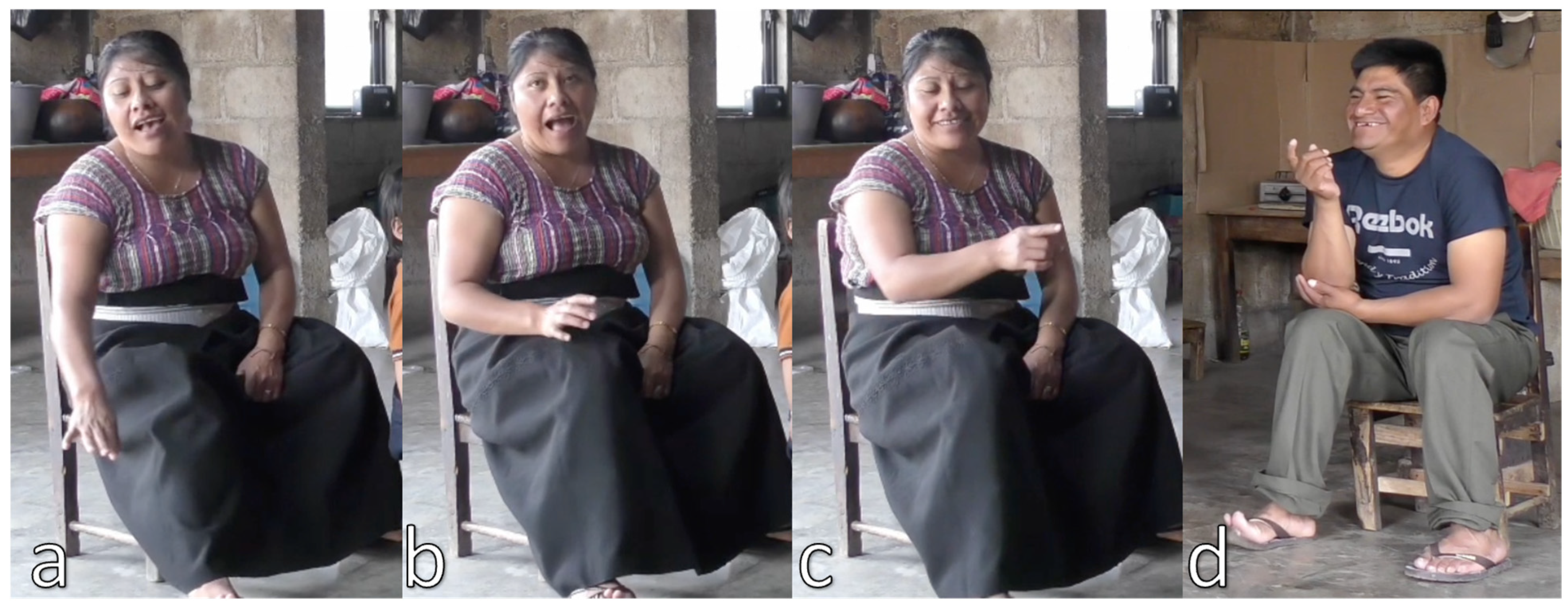 Languages 09 00240 g024