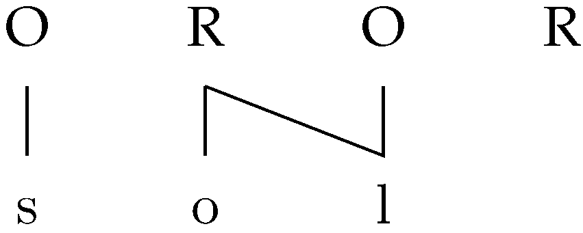 Languages 09 00259 g007