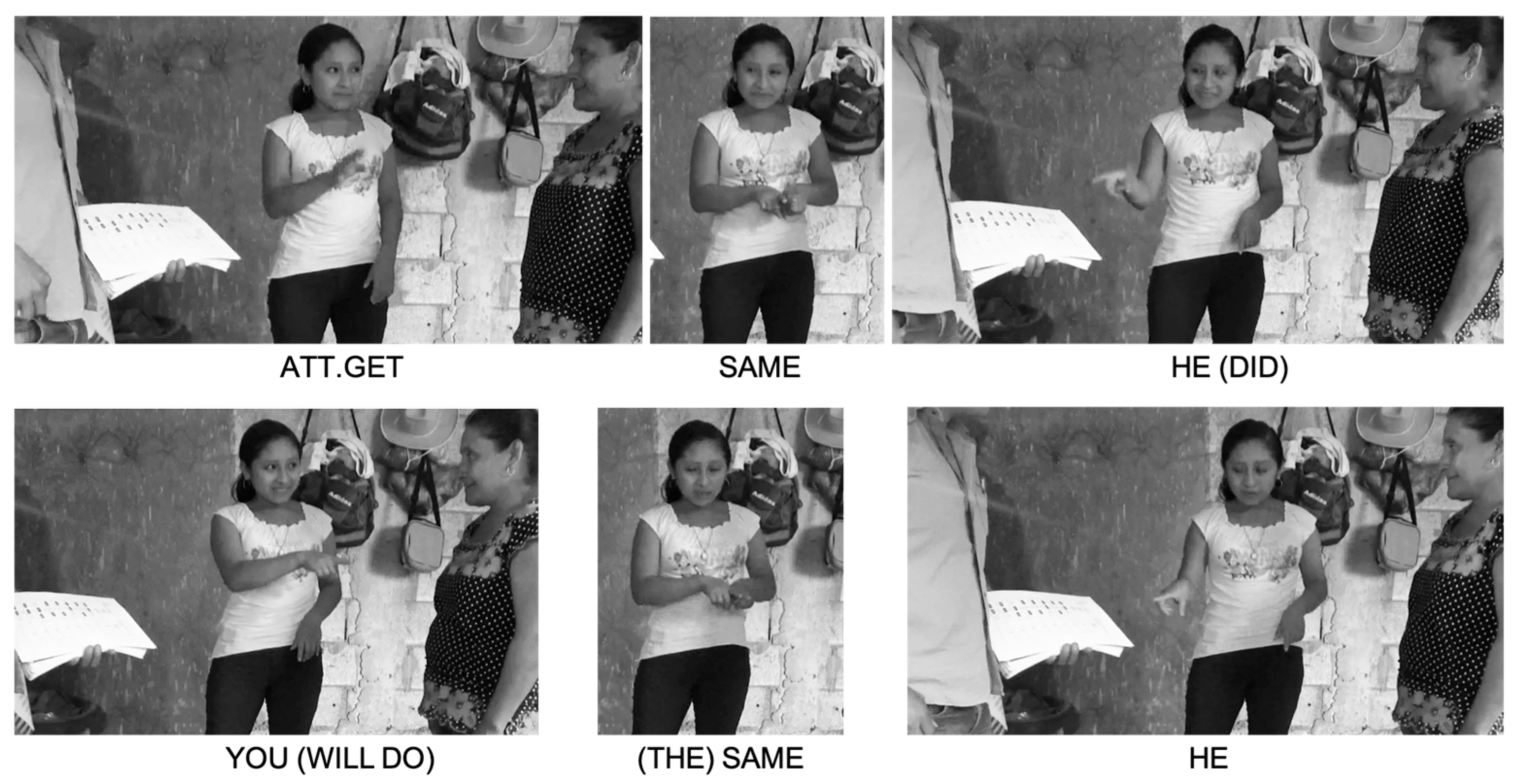 Languages 09 00278 g004