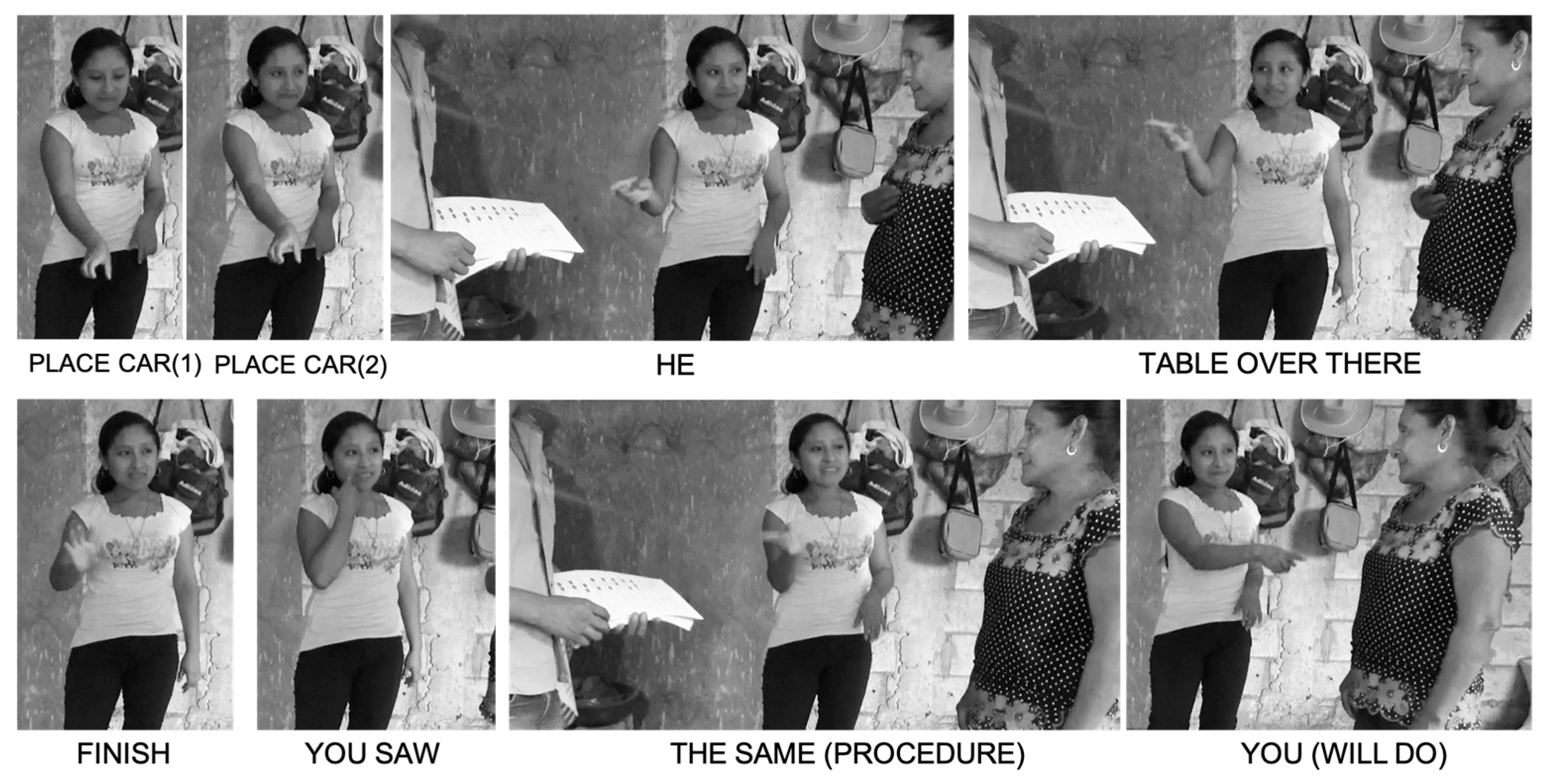 Languages 09 00278 g005