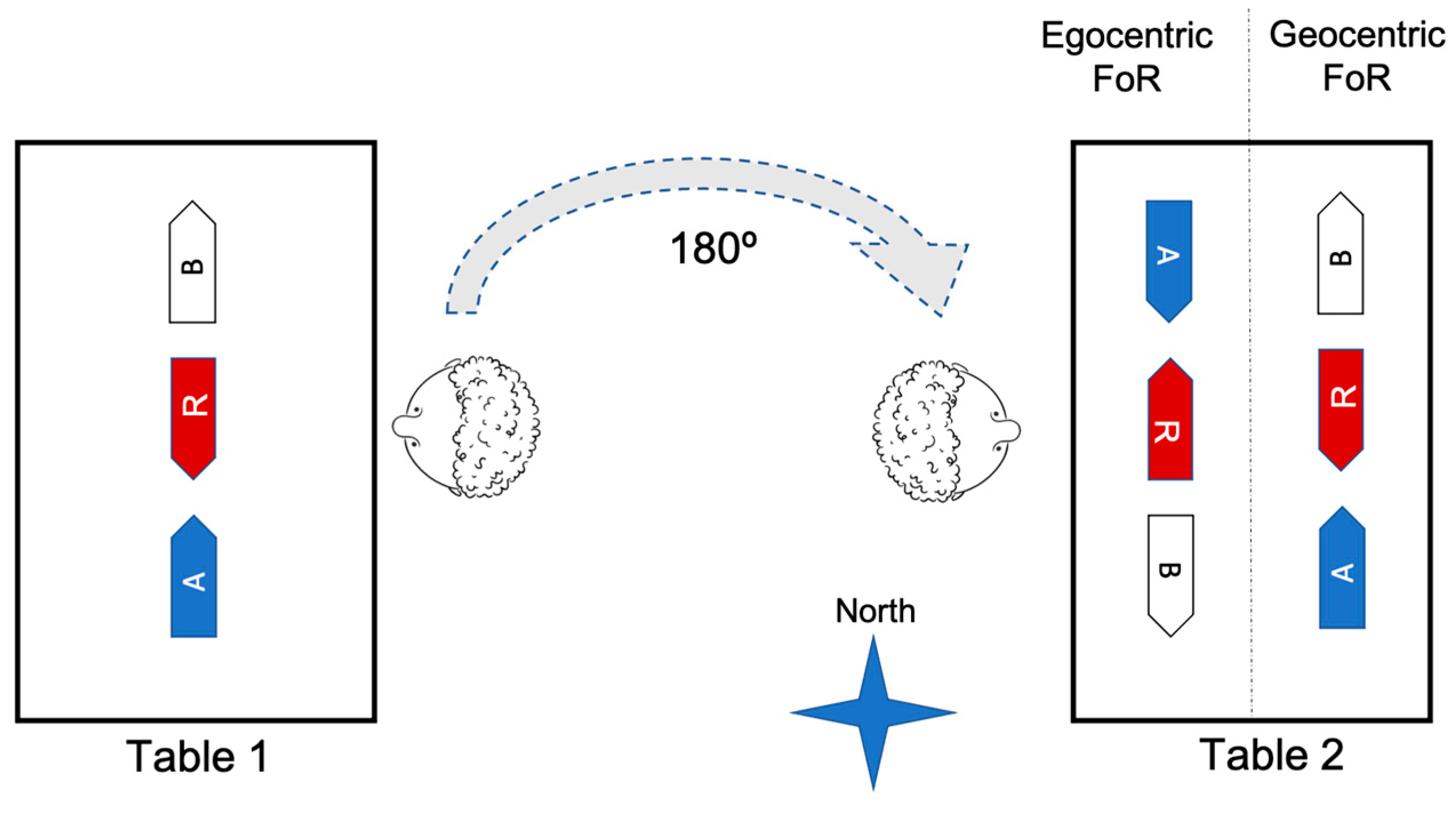 Languages 09 00278 g006